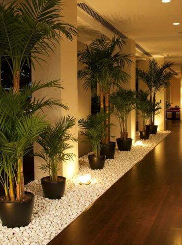 interior 1 (1)